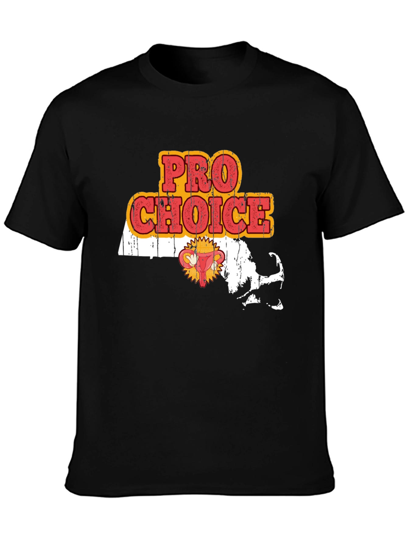 Camiseta Pro Choice Massachusetts