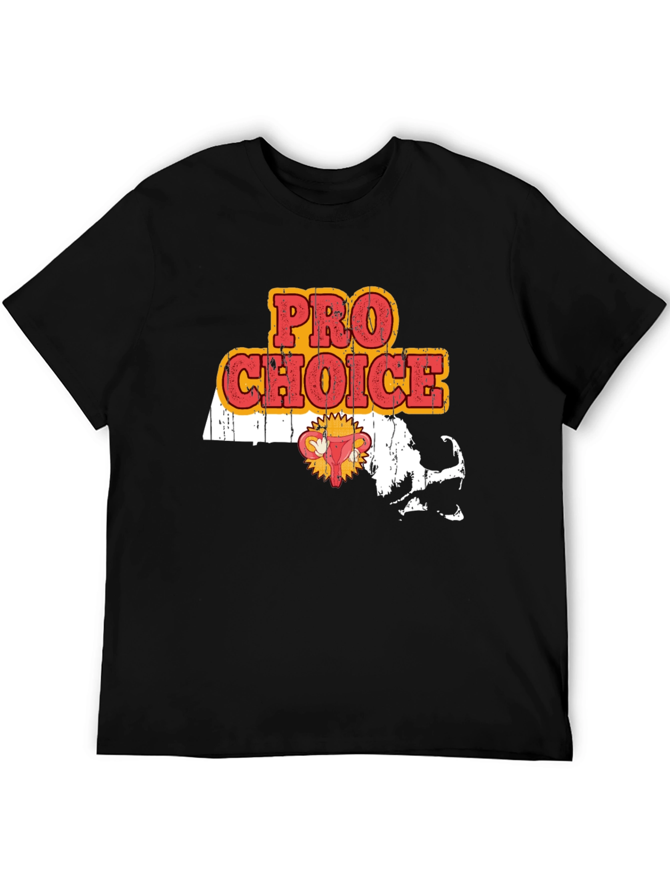 Camiseta Pro Choice Massachusetts
