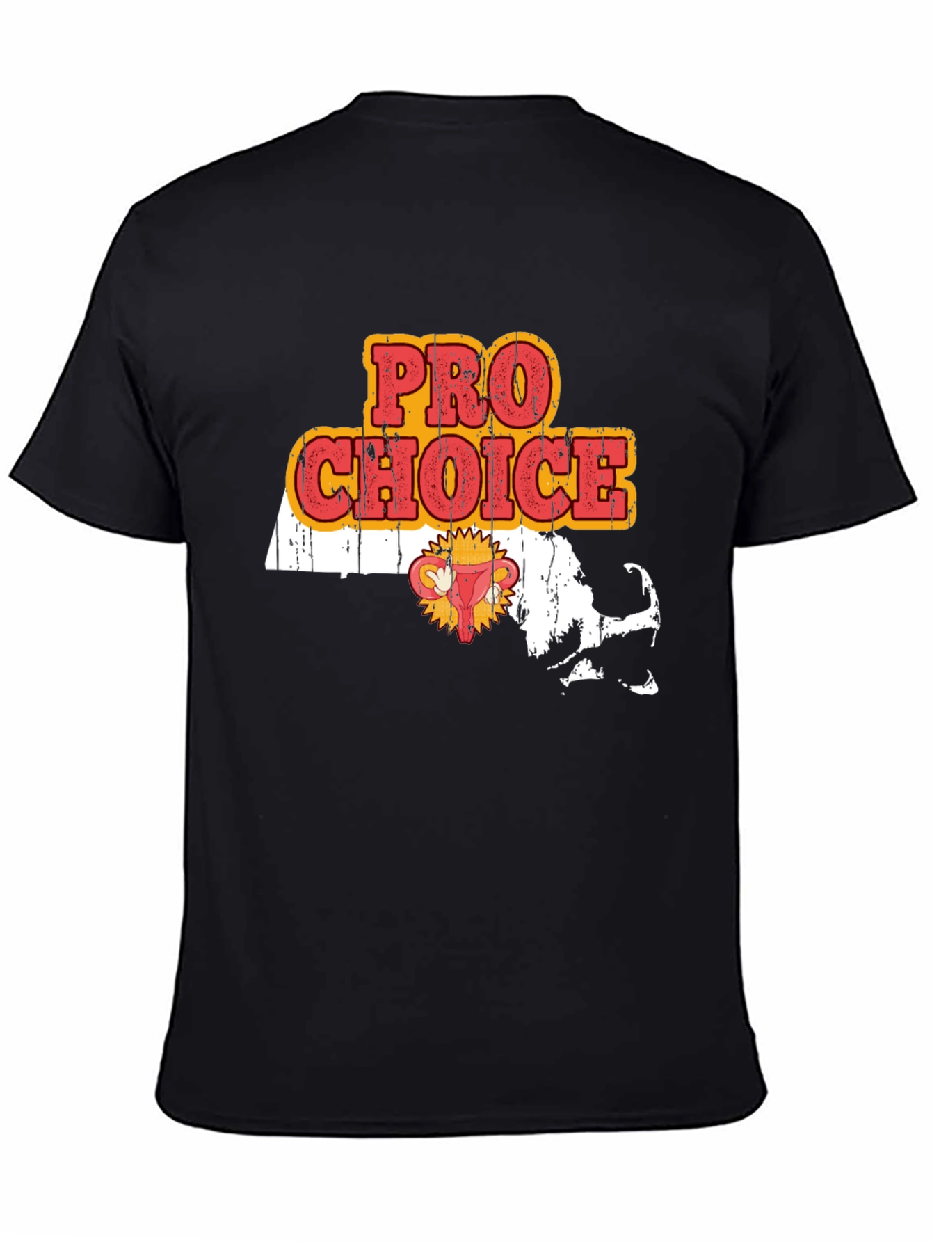 Camiseta Pro Choice Massachusetts