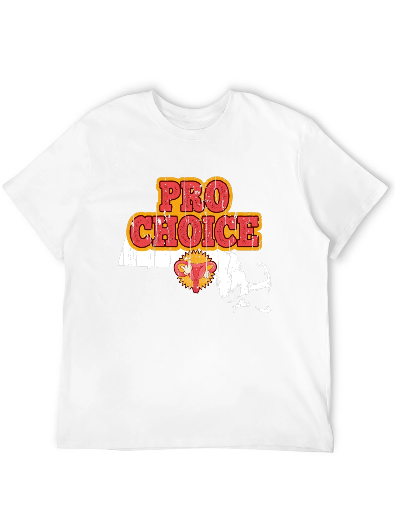 Camiseta Pro Choice Massachusetts