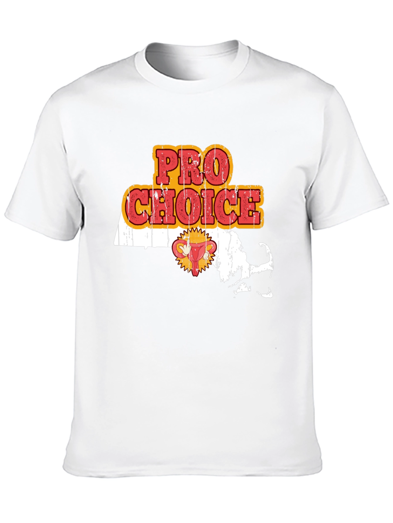 Camiseta Pro Choice Massachusetts